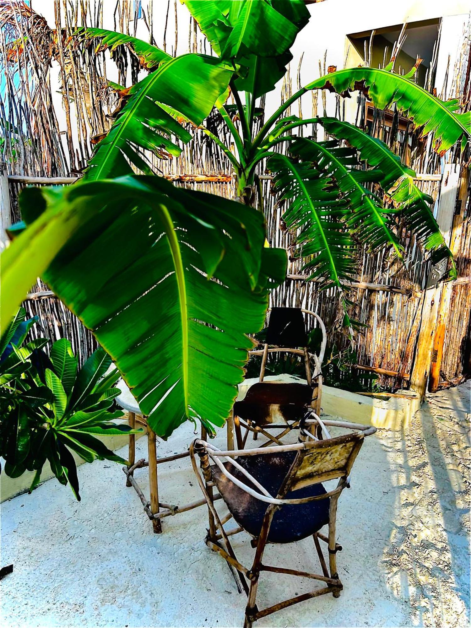 Zanzi Soul Luxury Boutique Hotel Jambiani (Zanzibar)